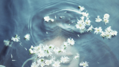 Red Velvet's Irene Enchants Luvies in Teaser Images