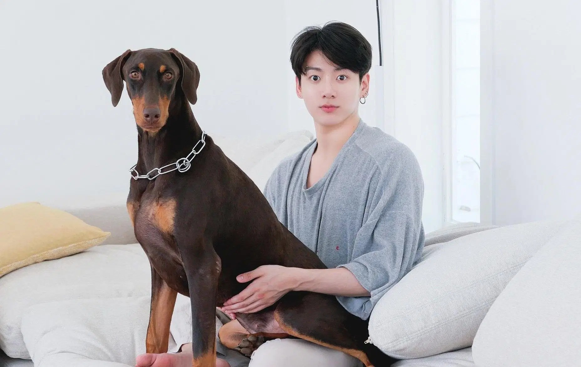 BTS’ Jungkook Opens YouTube Channel For His Dog, Bam, Crosses 500K Subscribers Despite Zero Posts