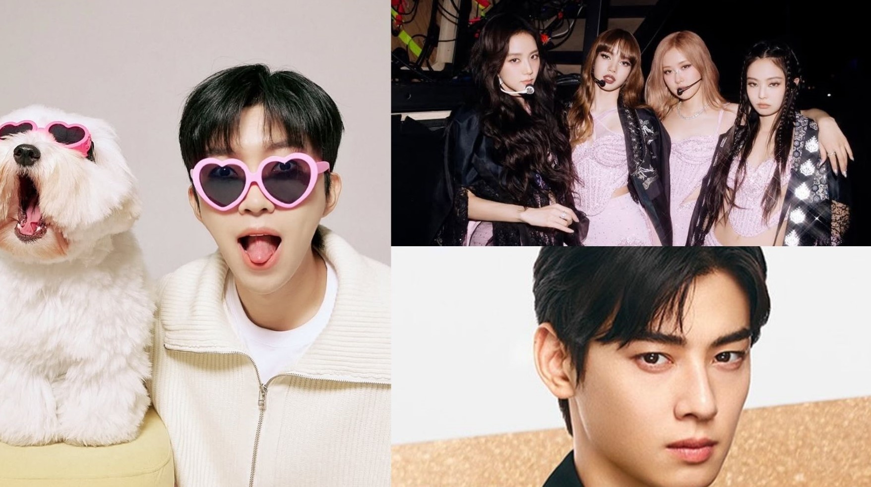 15 K-pop Idols Dominating Rankings for Advertisement Models in December 2024