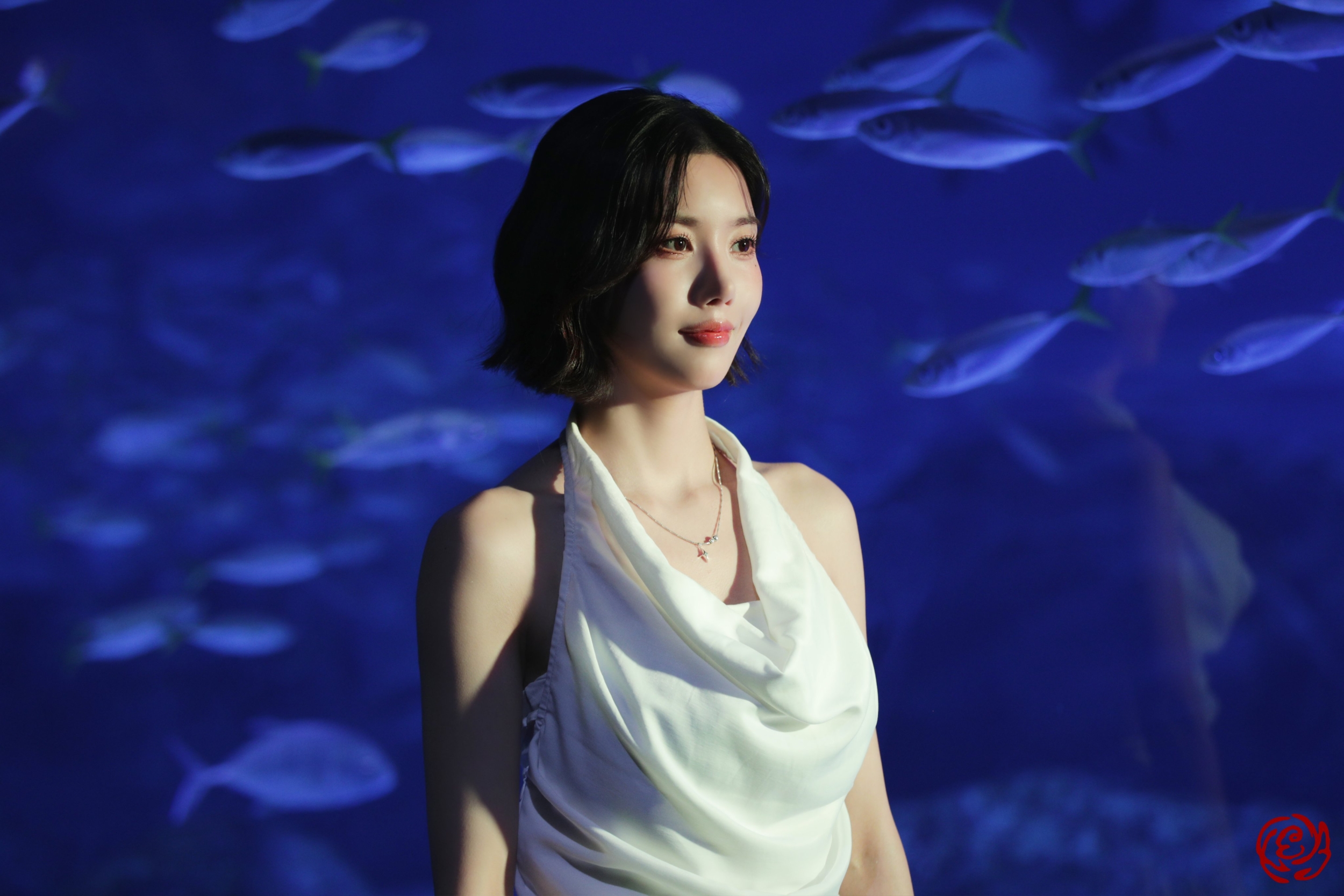 Kwon Eunbi’s 2025 WATERBOMB SEOUL Event Goes Viral Following Reports of Sexual Harassment Among Attendees