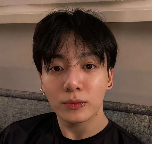 Japanese Tourist Attempts To Break Into BTS Jungkook's Home Multiple Times