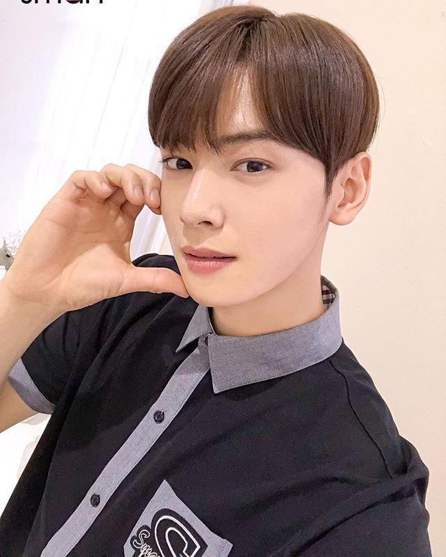 Gugudan's Sejeong, ASTRO's Cha Eun-woo Overflow with Visuals in One Frame