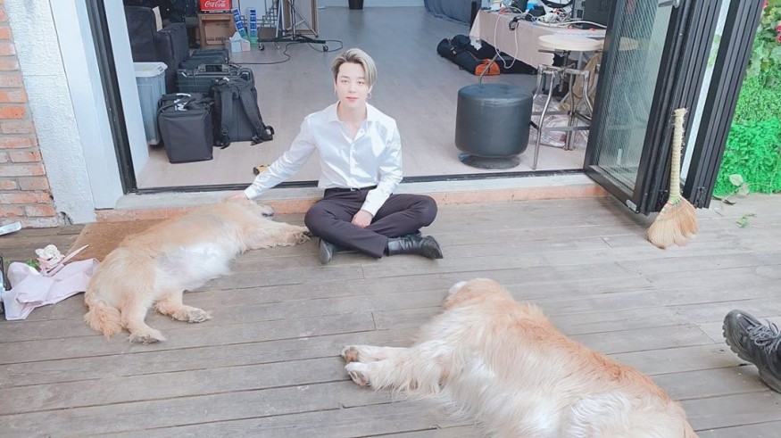 BTS Jimin, sweet eyes to interact with large dogs