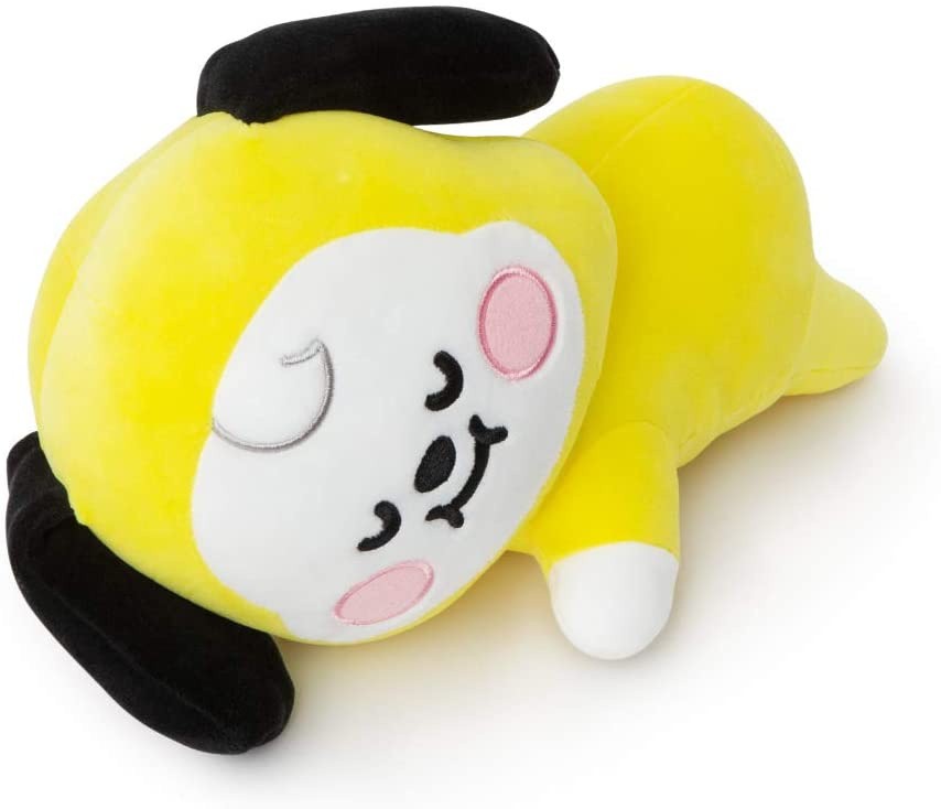 Here are BT21 Pillow Cushions for Your Home That You Should Have