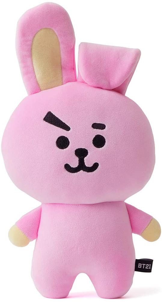 Here are BT21 Pillow Cushions for Your Home That You Should Have