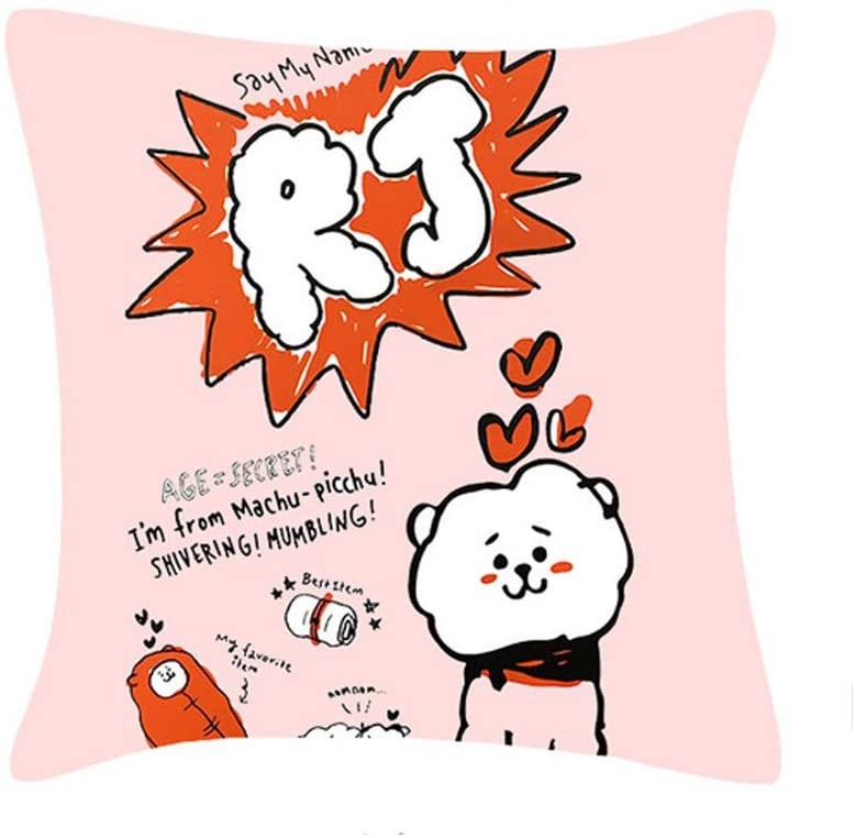 Here are BT21 Pillow Cushions for Your Home That You Should Have