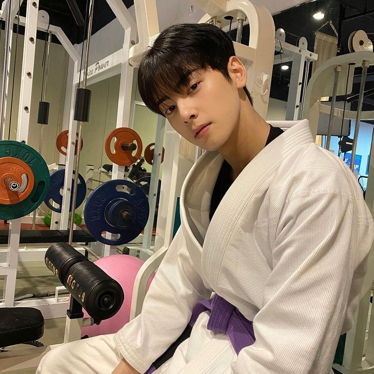 Cha Eun-woo, milky skin visual male god Advent