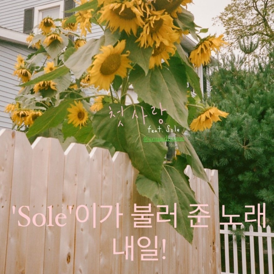 Jung Joon-Il, new song 'First Love', #1 on the music chart, Synergy with SOLE