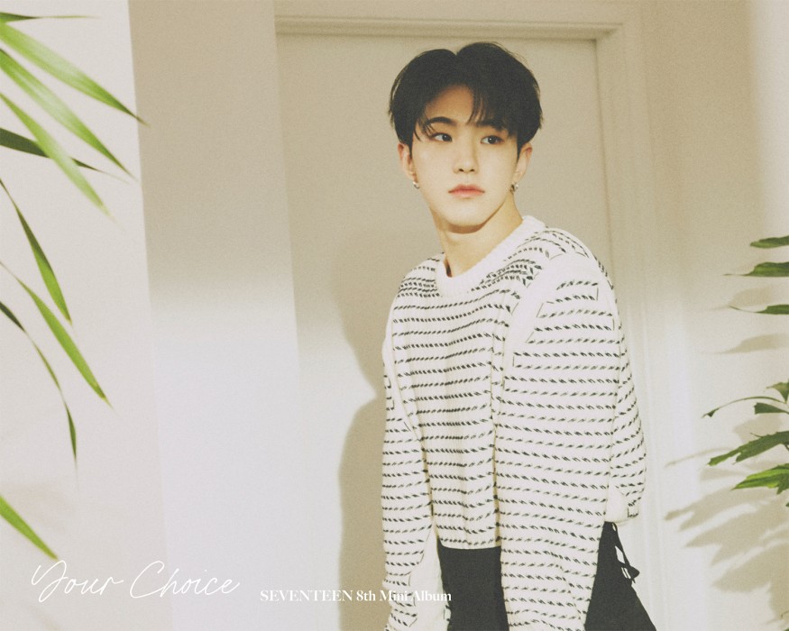 Seventeen unveils new album tracklist... Participated in the Bang Si-Hyuk title song