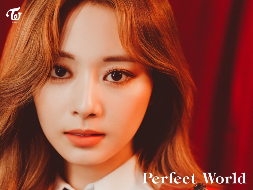 TWICE, Japanese new song 'Perfect World' tops local music charts