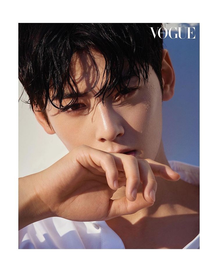 Cha Eun-woo, the perfect sculptural handsome man… 'Face genius' impossible to implement CG
