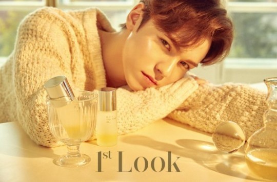 Seventeen Vernon Prince Visual