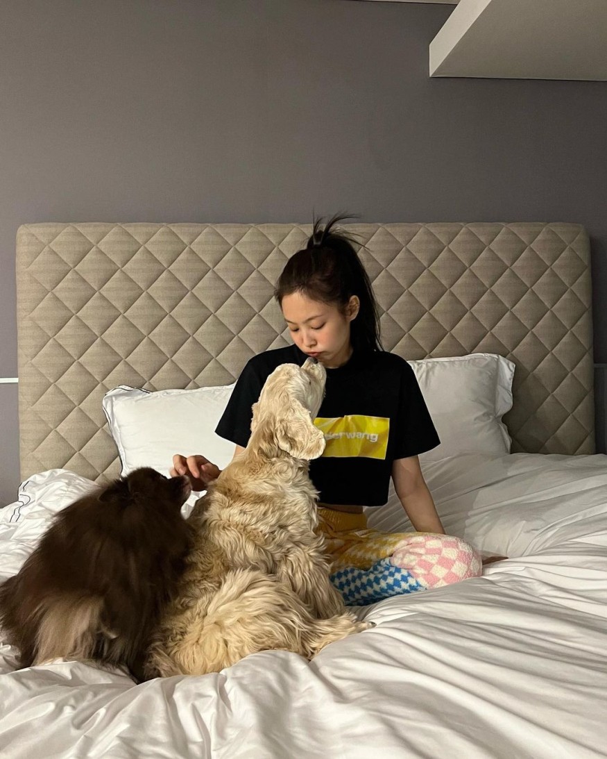 Jennie wears a crop top and has a healing time with her dogs