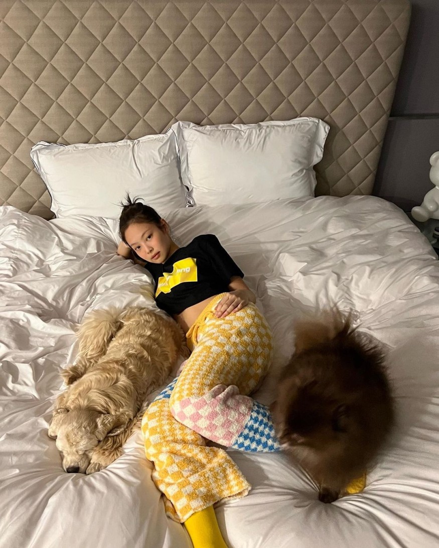Jennie wears a crop top and has a healing time with her dogs