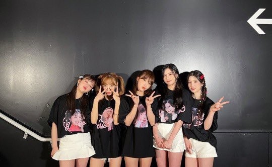 Apink successfully wraps up fan concert in Japan... "Every moment is happy"