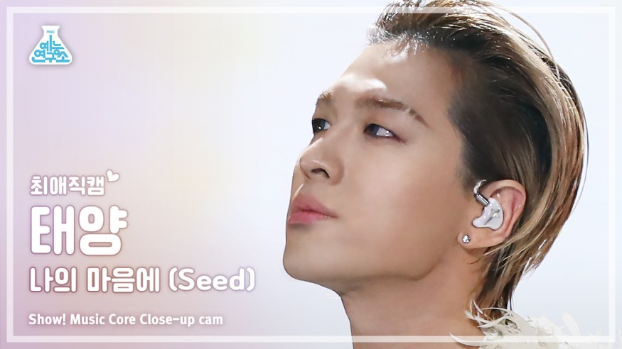 Release of 'Seed' sung with Taeyang and Park Bo-gum... Express chemistry