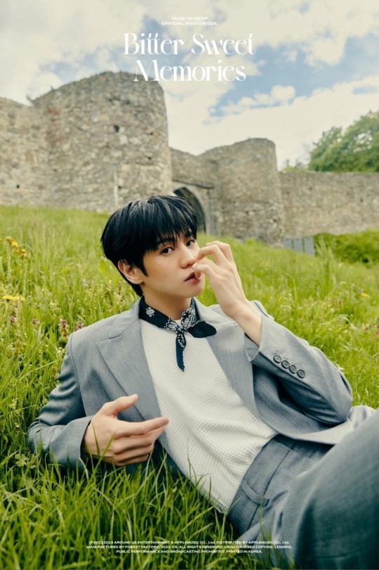 Yang Yo-seob, ‘Bitter Sweet Memories’