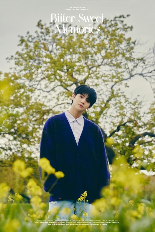 Yang Yo-seob, ‘Bitter Sweet Memories’